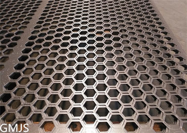 چین ورق فلزی سوراخ سوراخ شده برای ورقه ورقه ورقه ای شاکر با سوراخ شش ضلعی تامین کننده